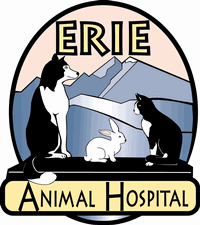 Employer Logo